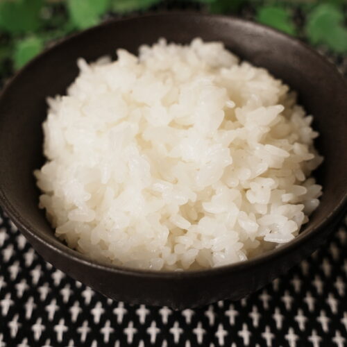 白ごはん