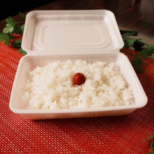 【TAKE OUT】白ごはん
